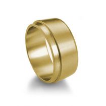 Ferrule