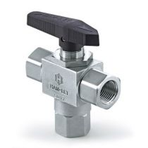 H6810SSG3/8IPST